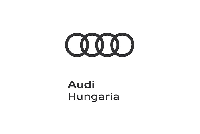 audi_img